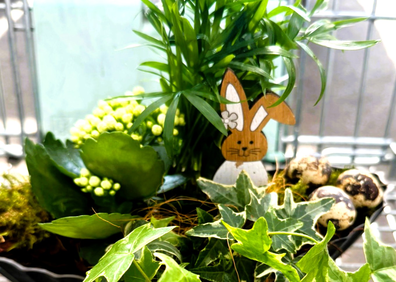 Monheimer Blumenmarkt